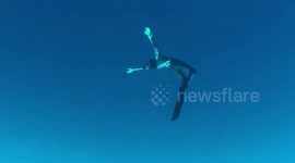 MEET the stunning female champion freediver who uses yoga to help her discover new depths of the world’s oceans.