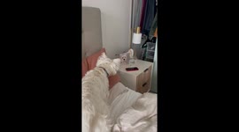 Dog Barks at Her Portrait