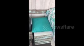 ONE BRITISH man is living the dream after leaving behind traditional working life to travel around Europe with his stunning Australian girlfriend in a converted Ford Transit van.