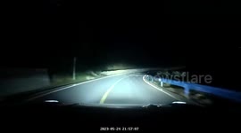 Close call: driver narrowly avoids collision with three cows on dark road in Jiangxi Province
