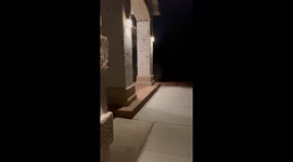 The Invasion of the Moths in Colorado