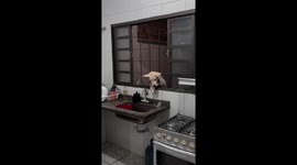 This Dog Wants A Snack