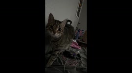 When the Food Bowl Is Empty