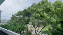 Japan: Strong Winds Lash Okinawa Islands As TS Mawar Approaches