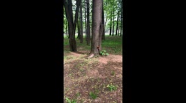 Feeding a squirrel