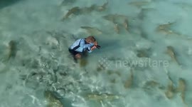 INCREDIBLE images have captured one brave photographer being swarmed by scores of 300-pound sharks as he joined them in the water.