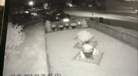 Mystery plant pot pincher who's been pilfering from families in the 'Garden of England' may have been caught on camera