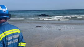 Coastguard jokes “you can’t park there!” after a BMW is washed out to sea