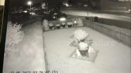 Has mystery plant pot pincher been caught on camera?