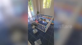 Strong baby pushes and yanks apart her playpen to escape