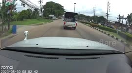 Kind driver stops mid-traffic to save stray cat lost on road