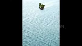 STUNNING video and photographs showcase the eye-popping British shipwreck that became a grove of trees despite being 330-yards from the coastline and being used for target practice during WW2.