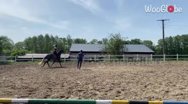 Steadfast rider remains 'saddled in' when moody stallion tries to throw her off of his back