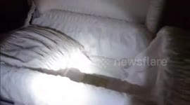 HORRIFYING pictures and video footage showing the moment an urban explorer came across human corpses left to rot in an underground mausoleum have come to light.