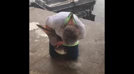 A GREEDY PELICAN with a fish stuck in its throat was videoed being rescued from suffocation by a-have-a-go lady who was brave enough to shove her arm down its neck.