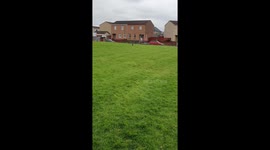 My cat is following me!