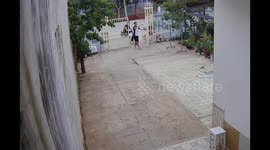 Playful dog's spirited encounter with brother turns into a lively game in Buon Ma Thuot City