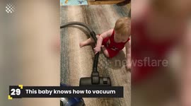 Top 30 Viral Videos from Around the Internet