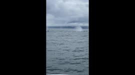 Humpback Whales Swim Near Fishing Boat