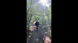 Horse Canters Away As Rider Reaches For Trees