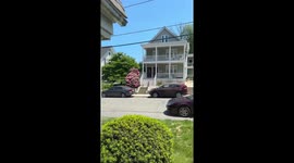 Groundhog Sits Outside Home