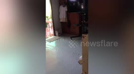 Hundreds of bees take over family's wardrobe in Thailand