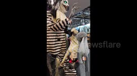 CELEBRA SHOW: 2nd day of b2b fair takes place in Sao Paulo, Brazil