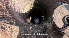 Experts staged daring rescue after young leopard got stranded in 80ft well - using a crate and ropes to lift the animal out