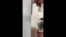Artist brings out a tiger on canvas with incredible thread art *Amazing Time Lapse*