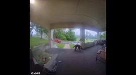 Hazel Awakens House With Early Doorbell Ring