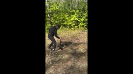 Behind the Scenes of Majestic Baby Duck Running in Flowers