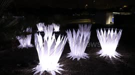 Vivid Sydney 2023, Australia