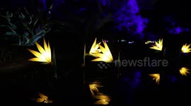 Vivid Sydney 2023, Australia