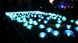 Vivid Sydney 2023, Australia