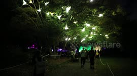 Vivid Sydney 2023, Australia