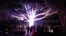 Vivid Sydney 2023, Australia