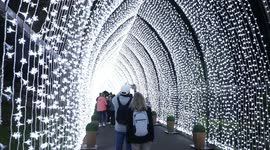 Vivid Sydney 2023, Australia