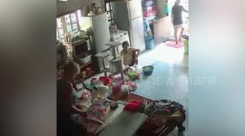 Clumsy pet cat sparks laughter when it slips down after jumping across food in kitchen