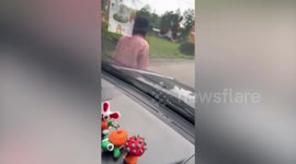 Driver stops car and picks up weak stray cat stranded in middle of road