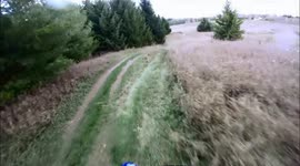 dog ran into side of dirt bike on back trails