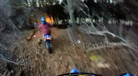 driving slow through dark forest drove right into a tree