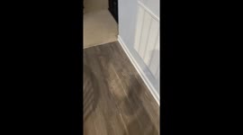 Son Sees A Resemblance
