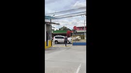 Birds Swoops From Behind at Passersby