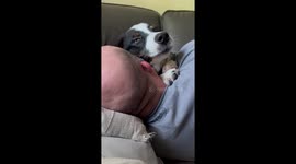 Wet Willy From Cuddly Puppy's Tongue