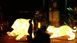 Vivid Sydney 2023, Australia