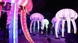Vivid Sydney 2023, Australia