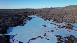 Migratory birds get lost and end up surprised in the Blue Lagoon