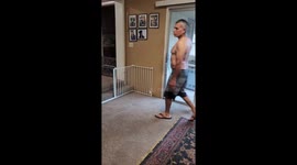 Boxer Breaks Out of Gated Area