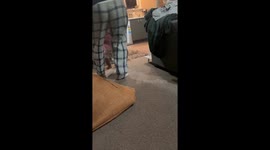 Big Brother Helps Little Sister Learn to Walk