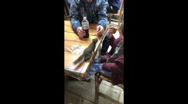 Squirrel Tries to Take Girl's Cookie